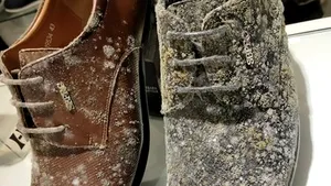 GALERIE FOTO. Mucegai pe genţi, curele sau pantofi într-un mall închis de două luni din cauza pandemiei