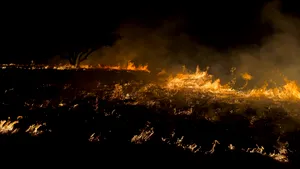 Expunerea la fumul incendiilor de vegetație crește riscul de boli grave și milioane de decese, avertizează cercetătorii