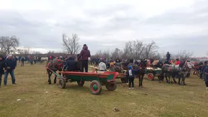Zeci de cai au fost botezaţi în ţară astăzi. Cum respectă tradiţia proprietarii animalelor. VIDEO