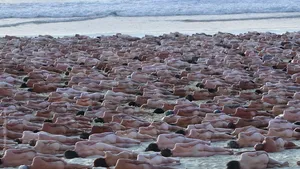 FOTO Mii de bărbaţi şi femei din Australia au pozat nud pentru a atrage atenţia... asupra riscului de cancer de piele