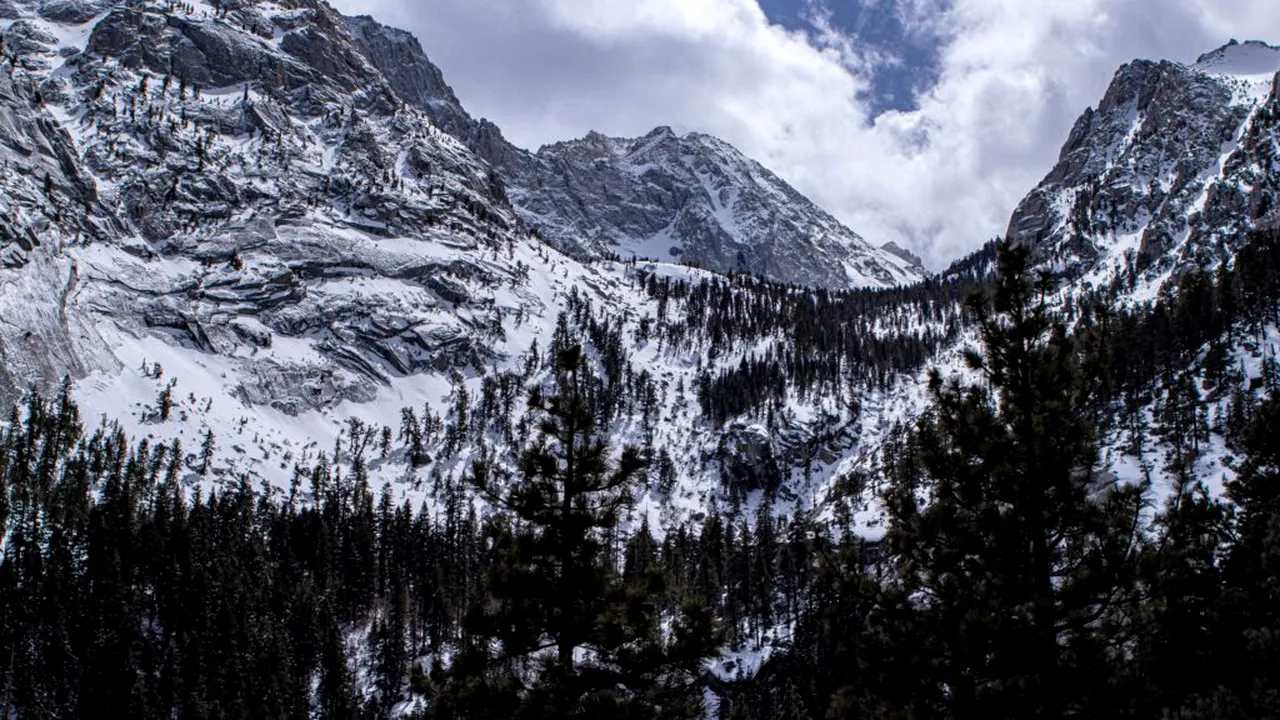 Autoritățile din SUA investighează moartea a opt schiori surprinși de o avalanșă în Sierra Nevada