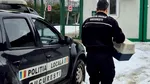 Pasăre dintr-o specie protejată, salvată de un polițist local pe Șoseaua Olteniței din Capitală
