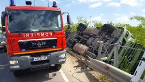 Autocamion încărcat cu porci, răsturnat pe A1 - FOTO