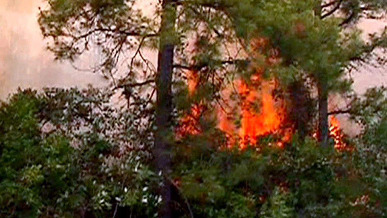 Stare de urgenţă în statul North Carolina, din cauza incendiilor de vegetaţie