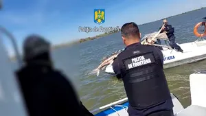 Un bărbat, surprins de Garda de Coastă în timp ce pescuia sturioni în Marea Neagră
