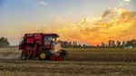 Guvernul aprobă sprijin de aproape 1,5 miliarde de lei pentru fermieri