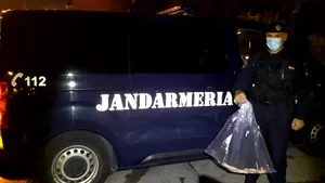 Surpriză pe casa scării: Locatarii unui bloc din Timişoara s-au trezit cu un nou „vecin”. Şarpele nu este unul autohton
