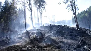 INCENDIU în Munţii Retezat: Peste 2,5 hectare de pădure de conifere mistuite de flăcări