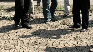 Guvernul: Calamitate în agricultură în 34 judeţe şi despăgubiri de 500 mil. lei