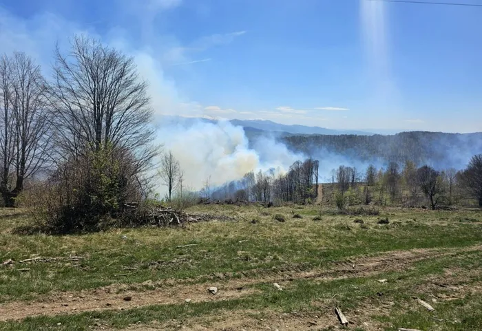 FOTO&VIDEO Incendiu de vegetație, întețit în județul Hunedoara din cauza vântului puternic. Pompierii intervin