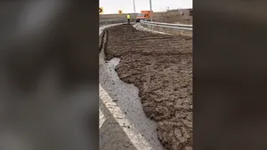 Şoferul unei basculante a blocat autostrada A4 după ce a împrăştiat bălegar pe şosea | VIDEO