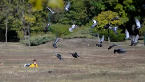 Cum va fi vremea până la 1 octombrie: temperaturi de peste 25 de grade Celsius