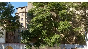 REPORTAJ: ”Nu te poţi urina, când Maica Domnului se uită la tine! ” Arta lui Murivale şi Poliţia