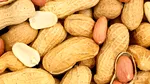 Introducerea timpurie a arahidelor în alimentația copiilor poate preveni alergiile