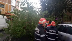Copaci doborâţi peste maşini sau pe străzi în Capitală de vântul puternic