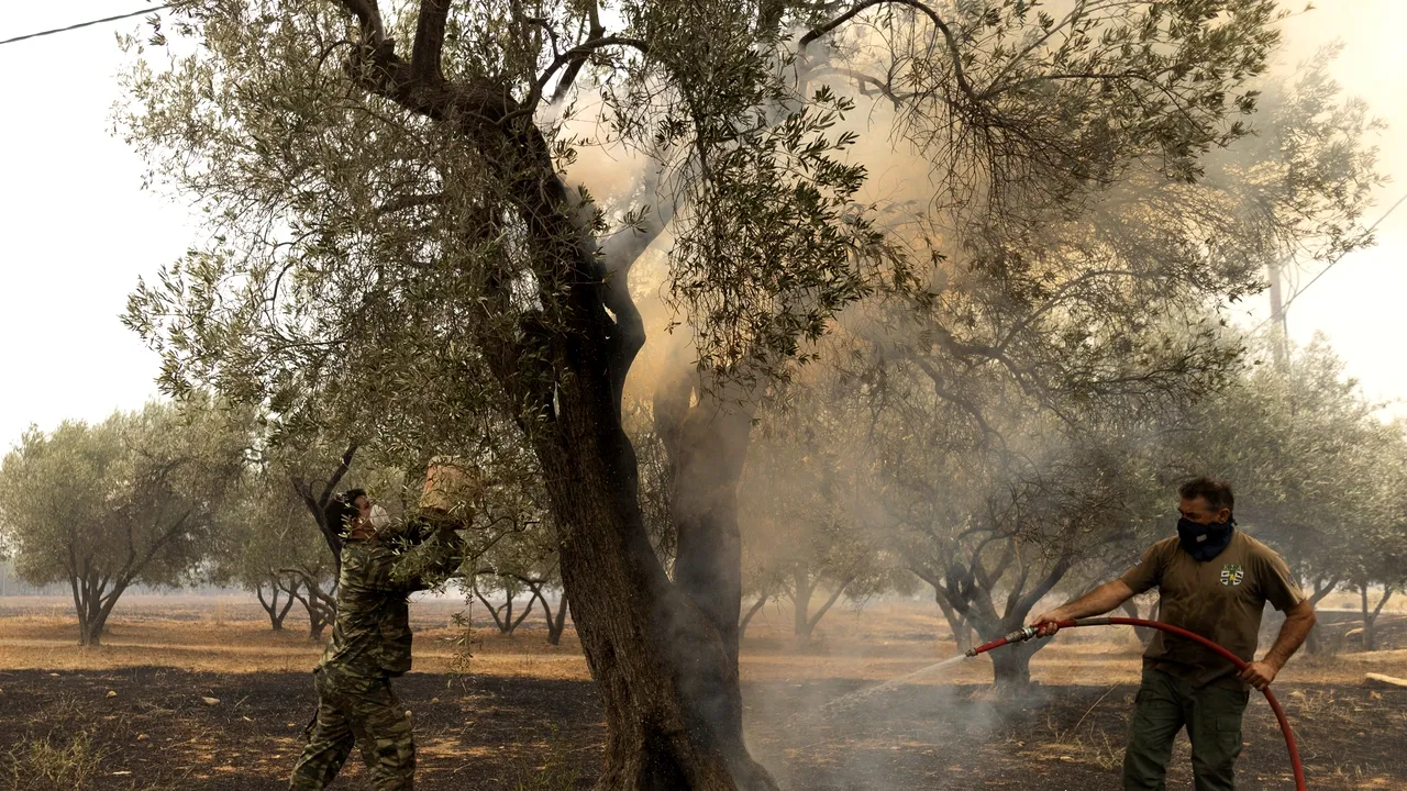 Atenţionare MAE: Pericol major de producere a incendiilor de vegetaţie în Grecia