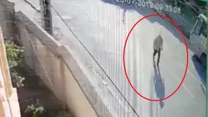 Familia Luizei cere DIICOT să fie refăcut traseul lui Dincă pentru a ridica imagini de pe camere