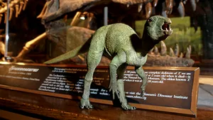 Fosilele unui dinozaur de mărimea unui iepure, expuse în Los Angeles