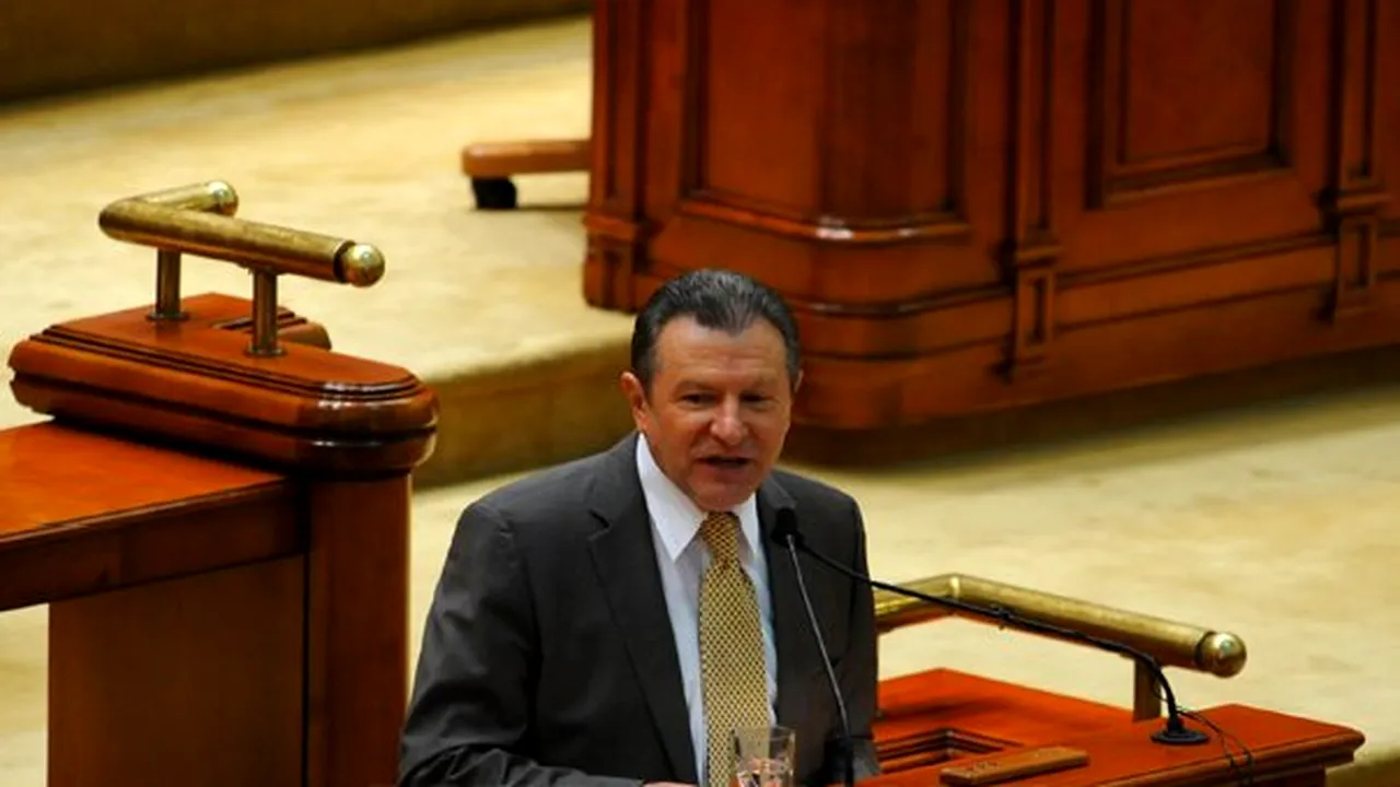 Berceanu: Dacă nu o să fie altcineva mai bun, îl voi susţine pe Blaga pentru şefia PDL