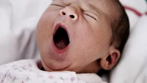 STUDIU: Somnul îndelungat, cheia procesului de învăţare