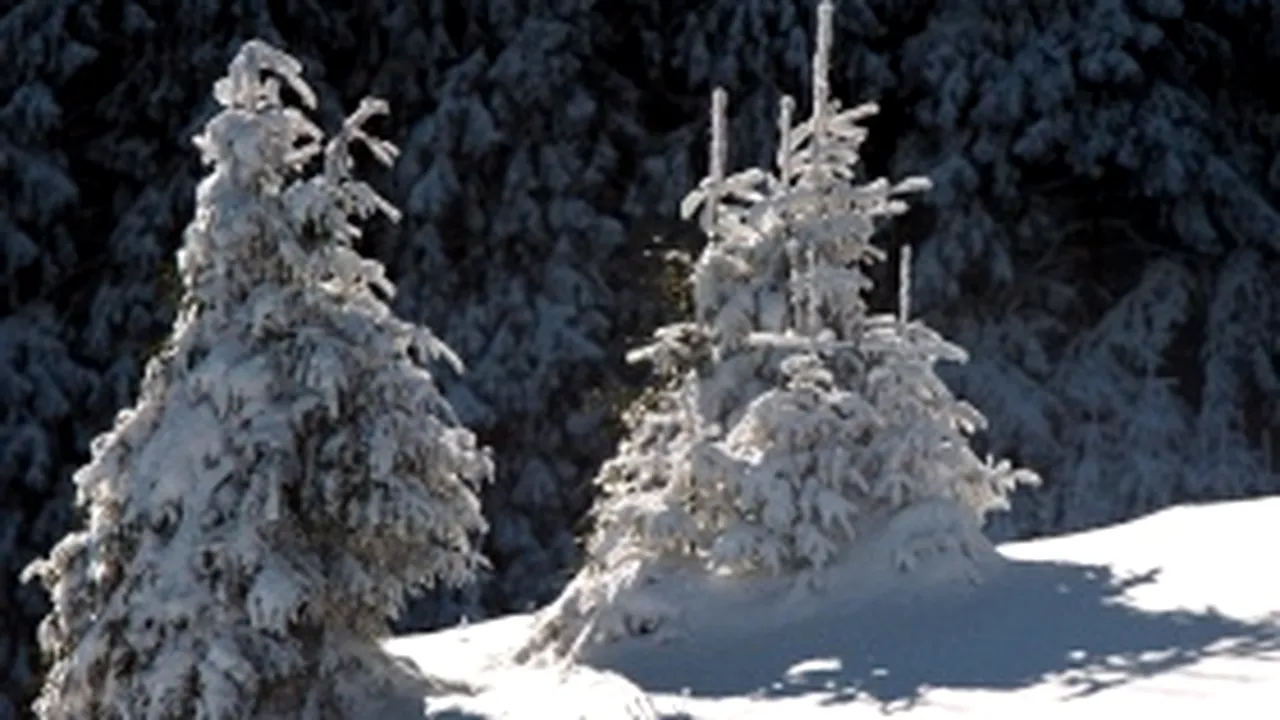 Risc însemnat de avalanşă în Munţii Făgăraş