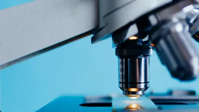 SĂNĂTATE Un cercetător român de la Stanford, în spatele unui experiment fără precedent: țesut cerebral uman, transplantat în șoareci