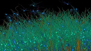 AI-ul Google cartografiază 1 milimetru cub de ţesut cerebral, echivalent cu 14.000 de filme 4K