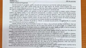 Simulare BAC 2021. Proba la Limba Română. SUBIECTELE pentru REAL şi UMAN. 78 de licee, scoase de pe lista de examen din cauza carantinării