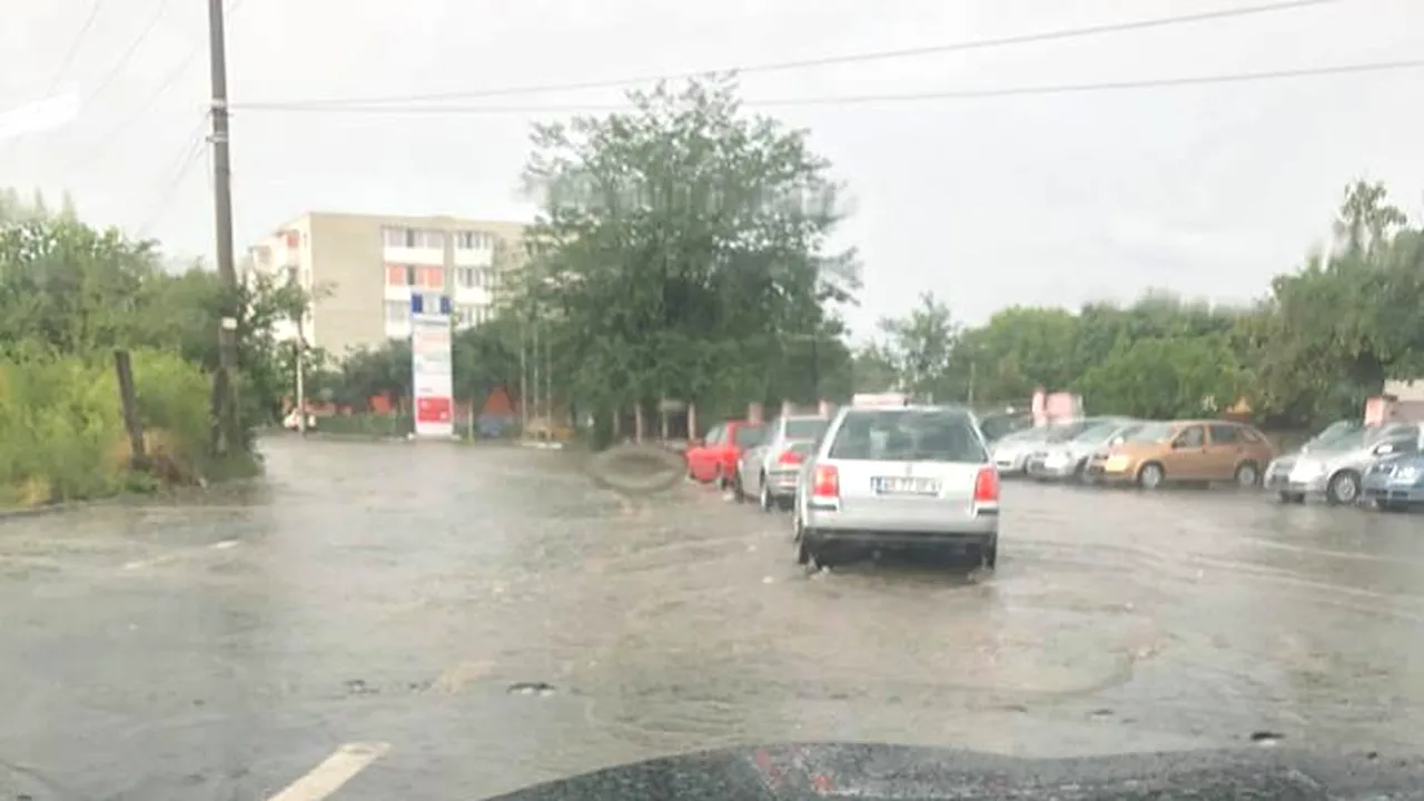 FURTUNĂ la Arad: Străzi inundate şi copaci rupţi de vânt  | FOTO