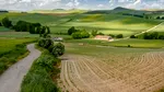O regiune din Spania interzice circulația auto pe drumuri forestiere în timpul eclipsei din august