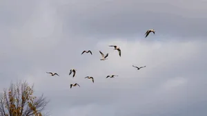 METEO ANM: 26 de județe sunt miercuri sub avertizare Cod galben