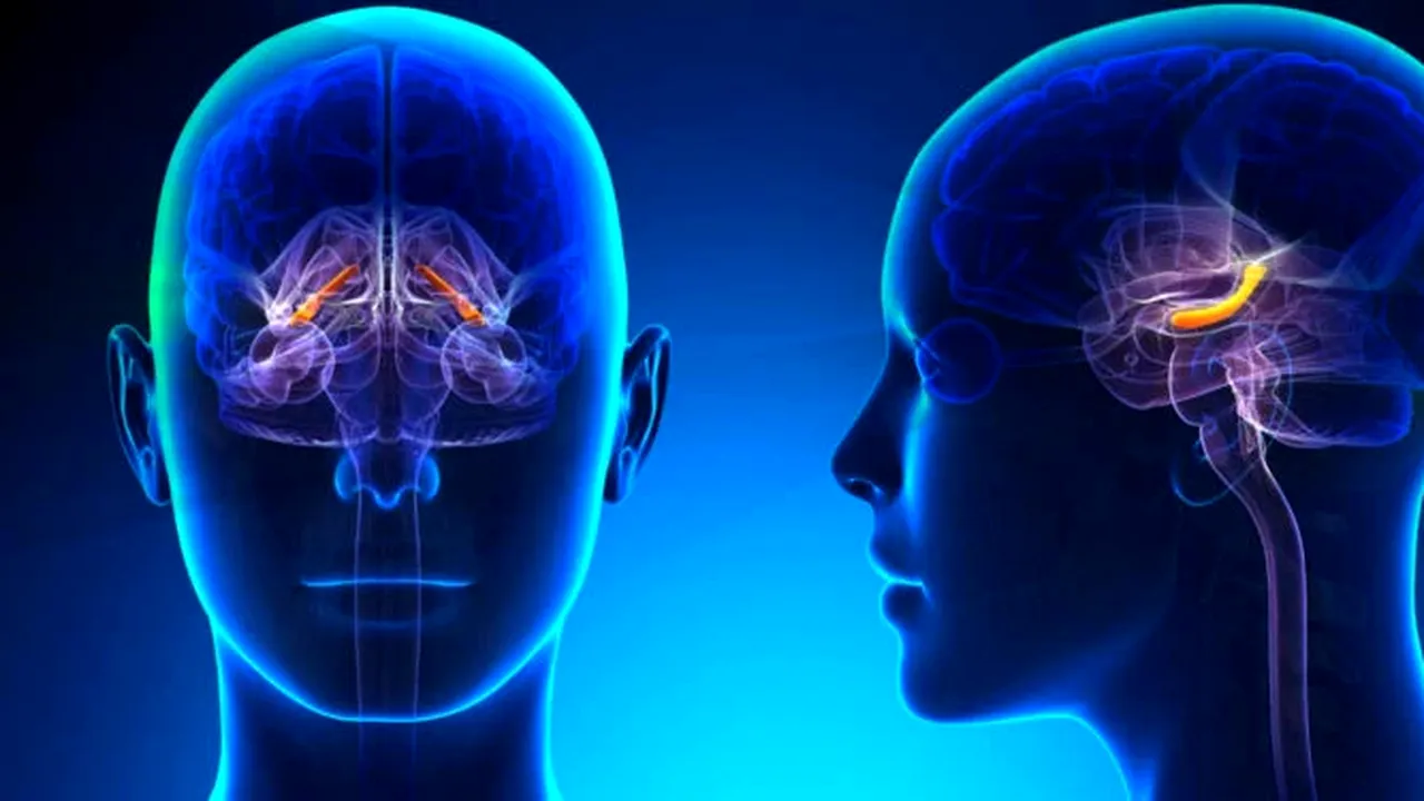 Creiere umane crescute în spaţiu pentru tratamente inovatoare împotriva Alzheimer şi Parkinson