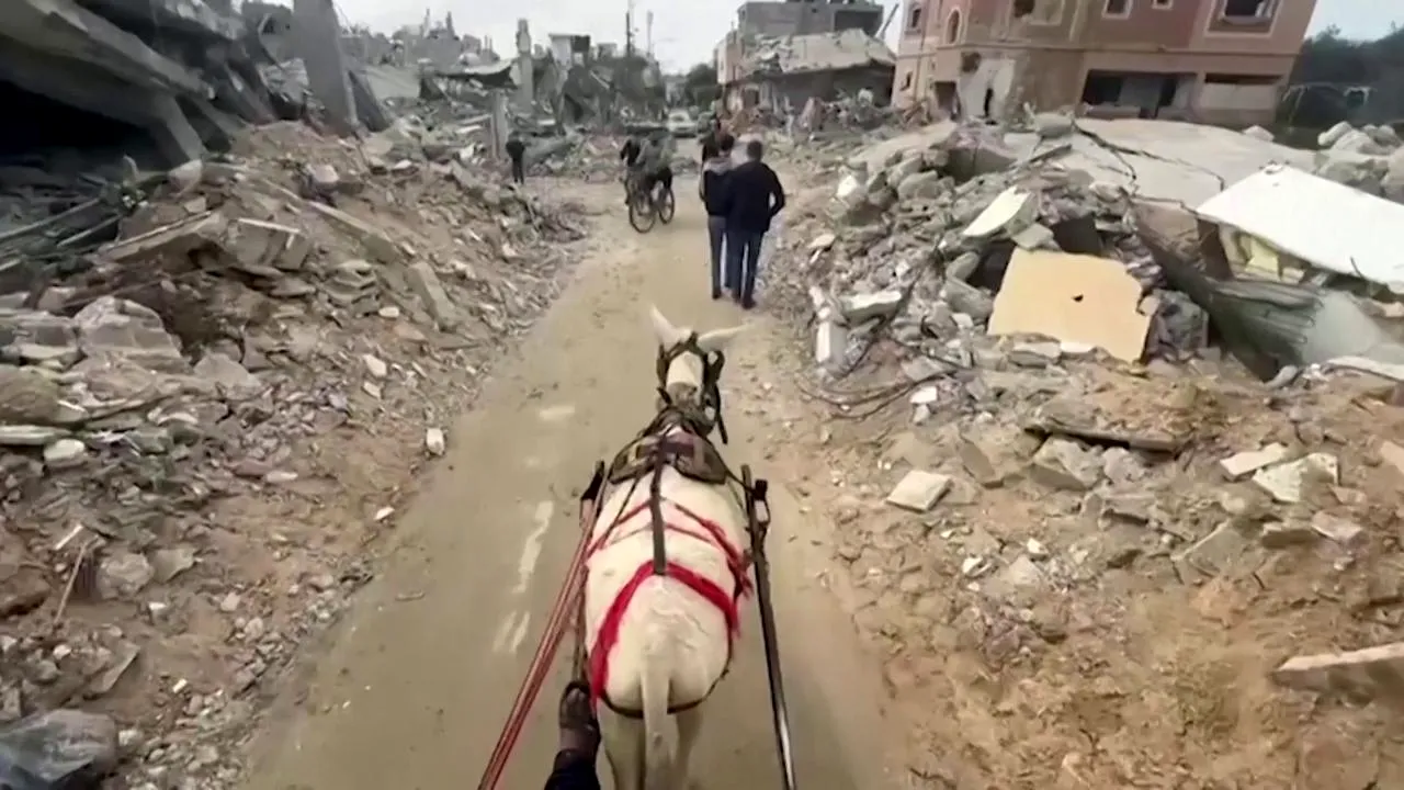 Pe străzile din Gaza, cu o căruţă trasă de un măgar: războiul a transformat totul în moloz

