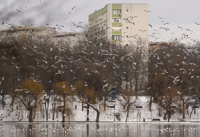 METEO Informare ANM. Vânt puternic și ploi în jumătate de țară