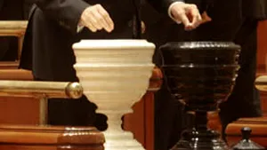 Parlamentarii au făcut show la urne