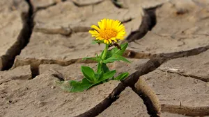 Organizaţia Meteorologică Mondială anunţă care va fi cel mai cald deceniu din istorie
