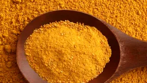 Curry poate preveni diabetul