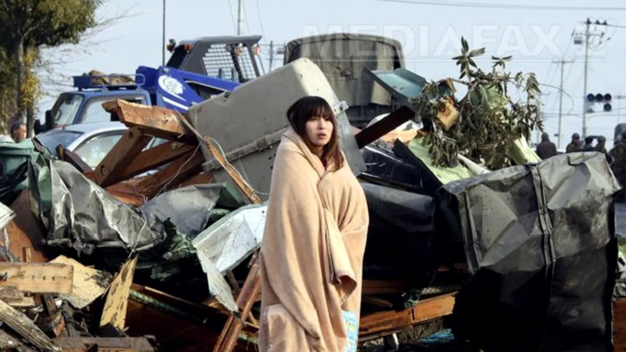Povestea imaginii care a făcut înconjurul lumii după tsunami-ul din Japonia şi deznodământul emoţionant - FOTO