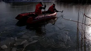 FOTO Lebede salvate de pompieri de pe râurile îngheţate din Suceava