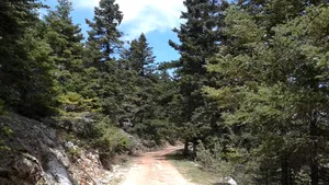 Aventura unor turiști români în drum spre vacanța din Grecia: Ne-am trezit „în” nicăieri, am crezut că murim