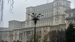 Palatul Parlamentului, iluminat în verde, albastru și magenta pentru a marca Ziua Internațională a Bolilor Rare