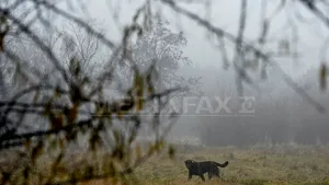 VREMEA se încălzeşte uşor, dar rămâne închisă. PROGNOZA METEO pentru joi şi vineri