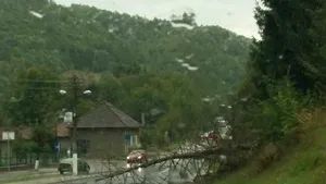 Bilanţ TRAGIC al furtunilor din ţară: Opt persoane au murit, ucise de obiectele smulse de vânt şi 137 au fost rănite/ Dosar penal în cazul morţii tânărului strivit de o poartă după vijelia din Timişoara