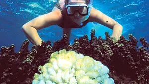 Care sunt locurile din lume pe care trebuie să le vezi înainte să dispară