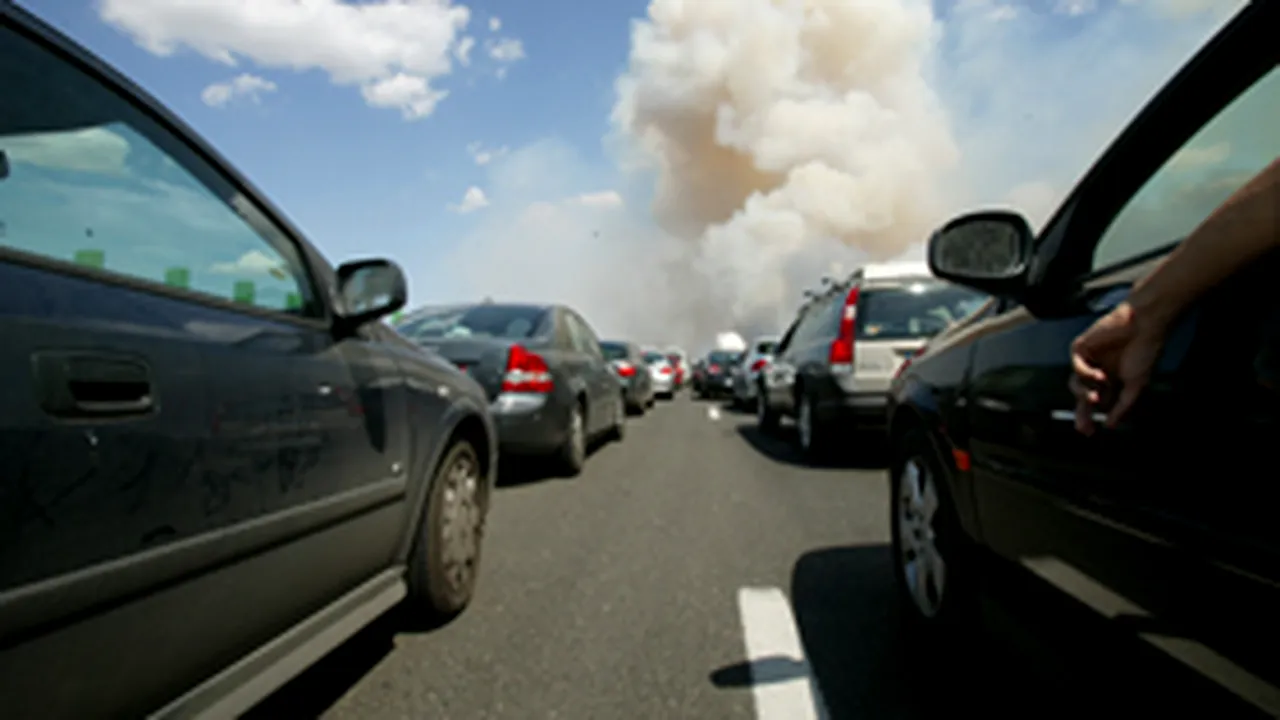 Zeci de permise de conducere suspendate, de 1 Mai, pe drumurile de pe litoral