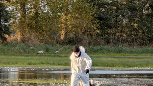 Focar de gripă aviară depistat într-o comună din județul Cluj. Ce măsuri trebuie să respecte populația