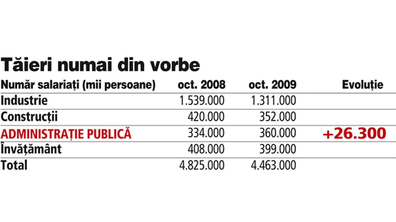 Guvernul Boc a făcut 26.000 de angajări în administraţie în 2009