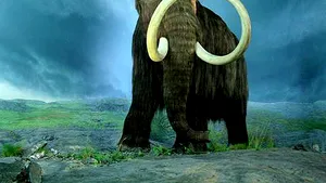 Un schelet de mamut siberian, vândut la licitaţie cu 240.750 de euro