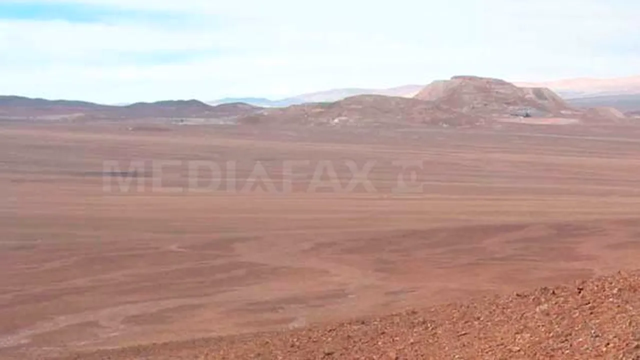 Balene în deşert! Care este explicaţia uneia dintre cele mai mari descoperiri - FOTO