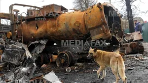 Ucraina, tărâm minat. Cât timp va dura pentru a neutraliza muniţiile rămase neexplodate